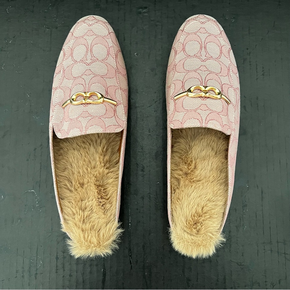 Coach Sienna Sherpa slides